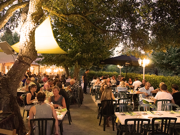 Photo du restaurant : la terrasse de La Pinède, le soir, sous les arbres
